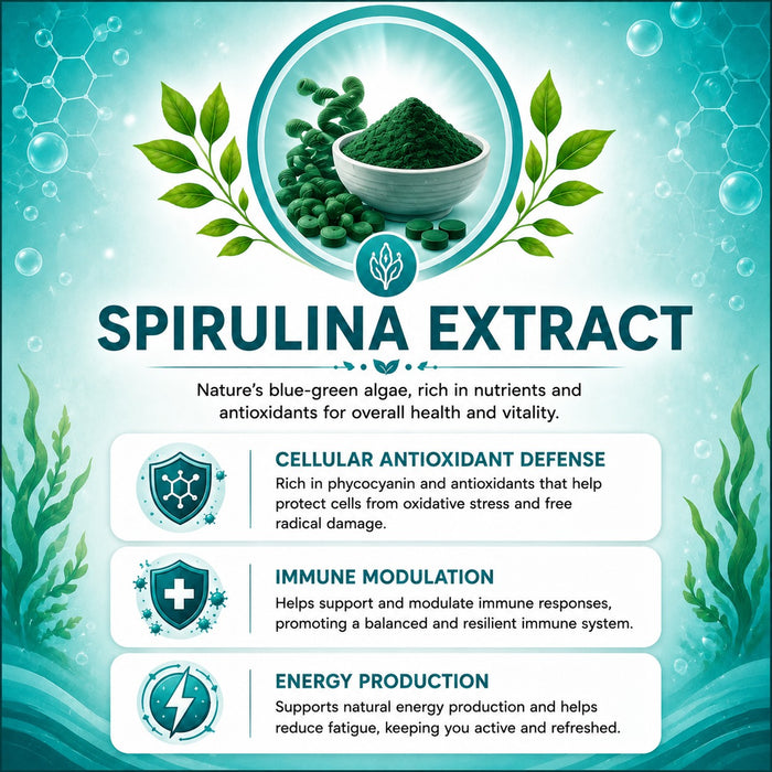 Moringa Extract