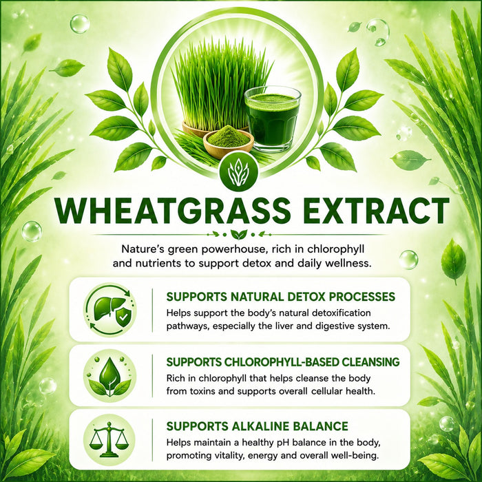 Ashwagandha Extract (5% Withanolides)