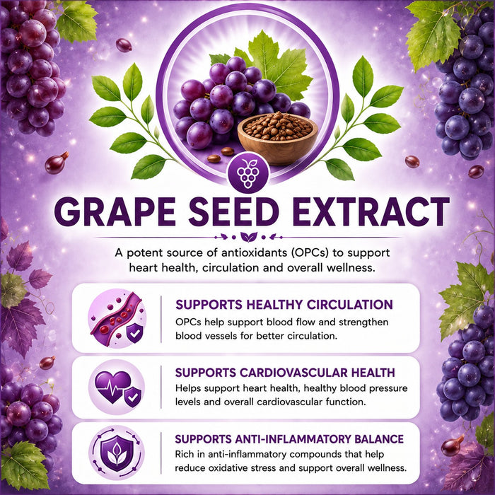 Wheatgrass Extract (10:1)