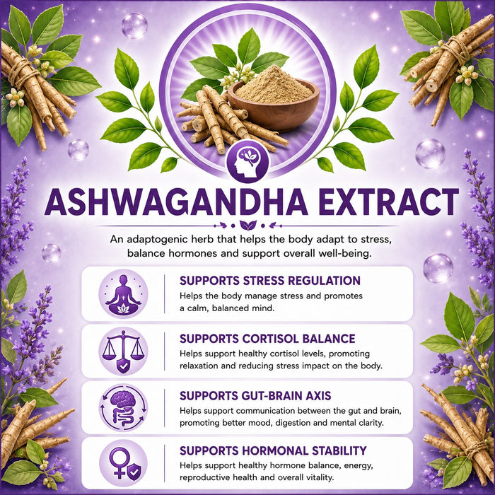 Triphala Extract Powder